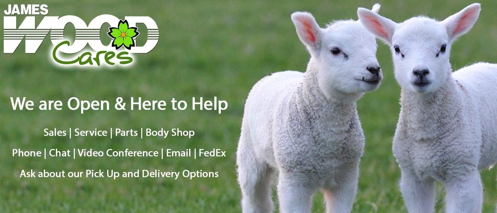 Here to help James Wood Decatur PreOwned in Decatur TX